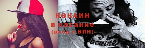винт Липки