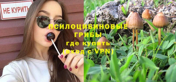 винт Липки