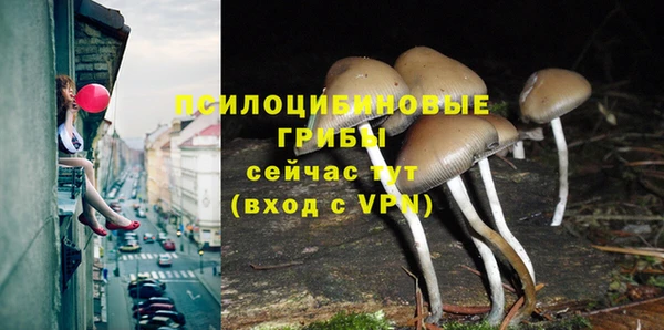 винт Липки