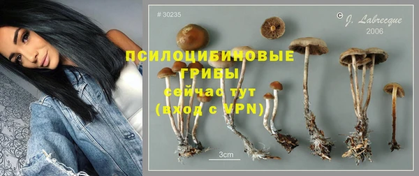 мдпв Лихославль