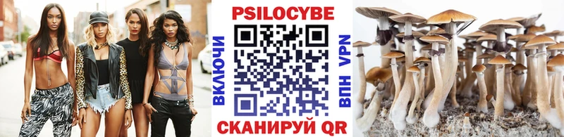 хочу   OMG tor  Псилоцибиновые грибы Psilocybe  Томари 